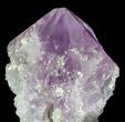 Amethyst Crystal Point - Brazil #64758-2